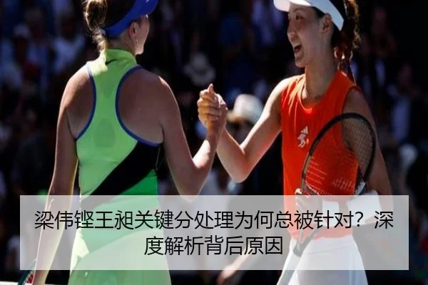 梁伟铿王昶关键分处理为何总被针对？深度解析背后原因